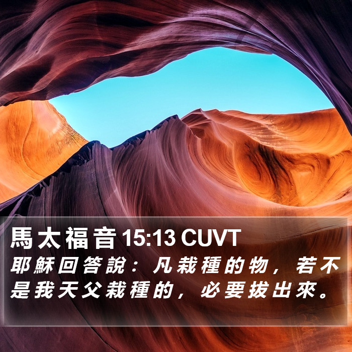 馬 太 福 音 15:13 CUVT Bible Study