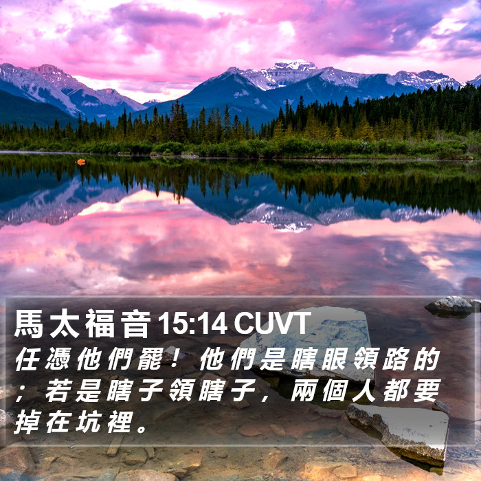 馬 太 福 音 15:14 CUVT Bible Study
