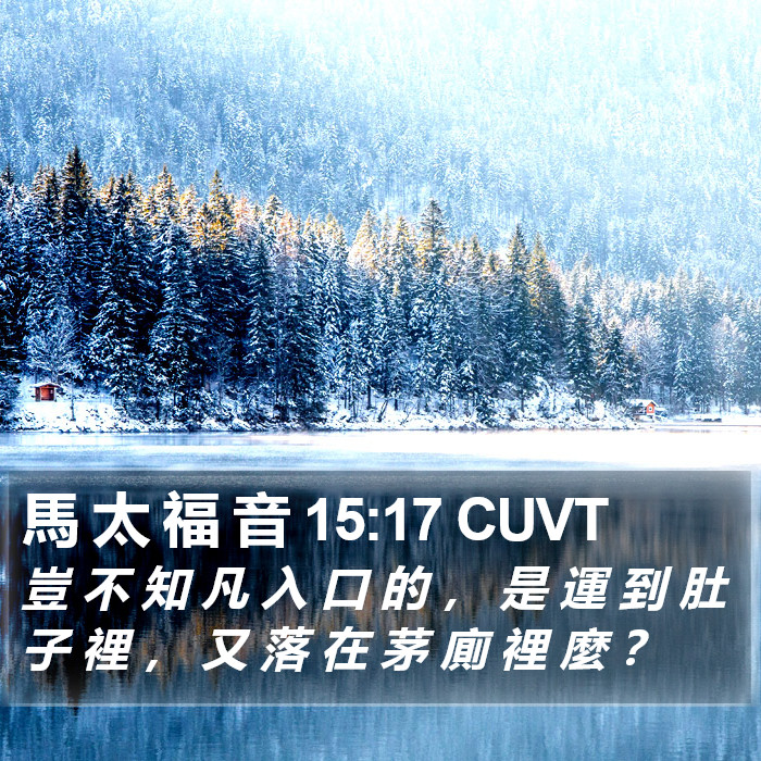 馬 太 福 音 15:17 CUVT Bible Study