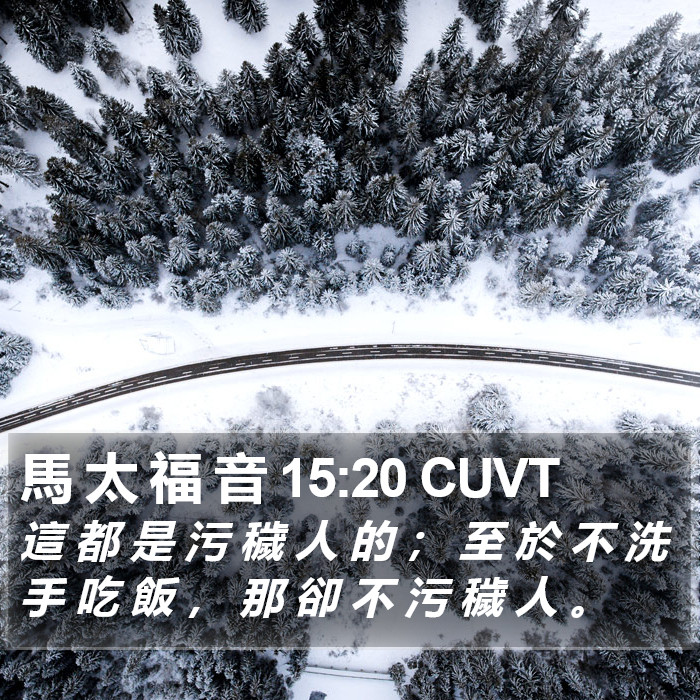 馬 太 福 音 15:20 CUVT Bible Study