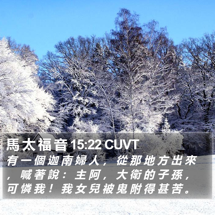 馬 太 福 音 15:22 CUVT Bible Study