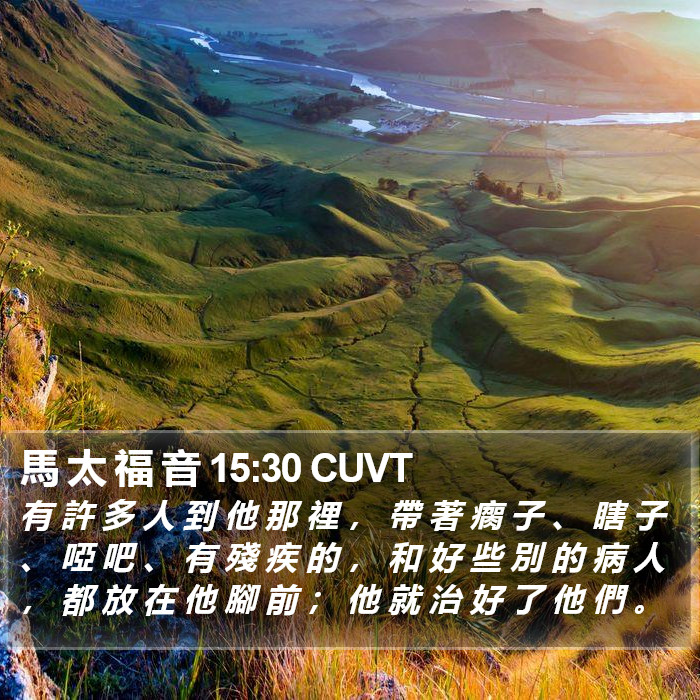 馬 太 福 音 15:30 CUVT Bible Study