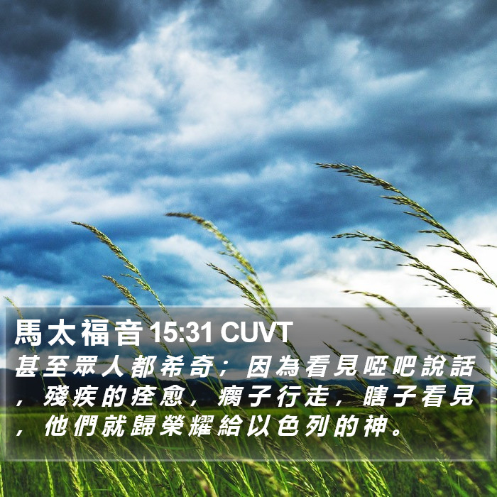 馬 太 福 音 15:31 CUVT Bible Study