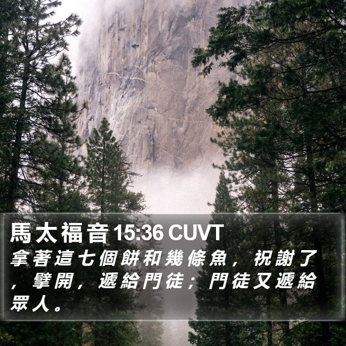馬 太 福 音 15:36 CUVT Bible Study
