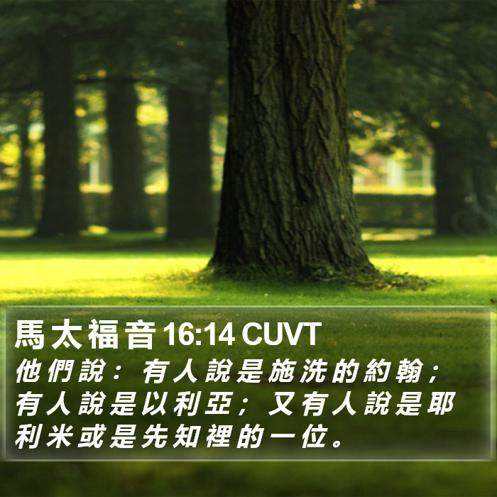 馬 太 福 音 16:14 CUVT Bible Study