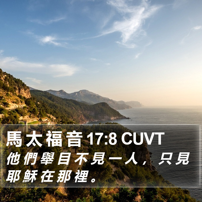 馬 太 福 音 17:8 CUVT Bible Study
