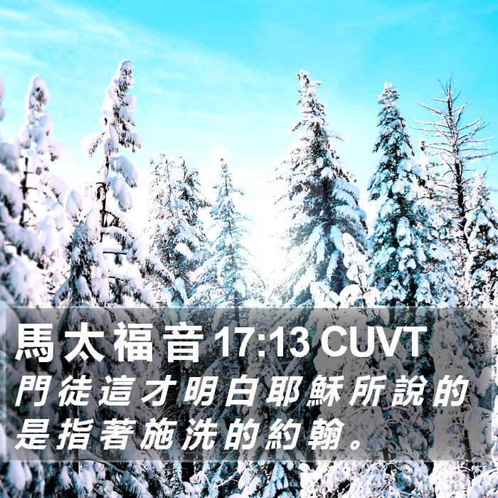 馬 太 福 音 17:13 CUVT Bible Study