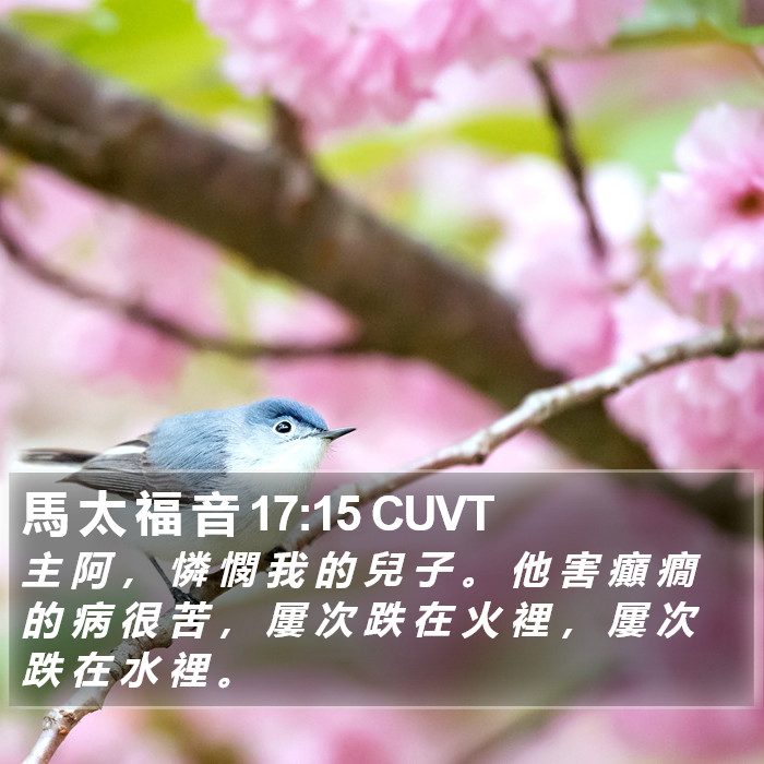 馬 太 福 音 17:15 CUVT Bible Study