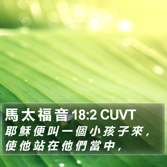 馬 太 福 音 18:2 CUVT Bible Study