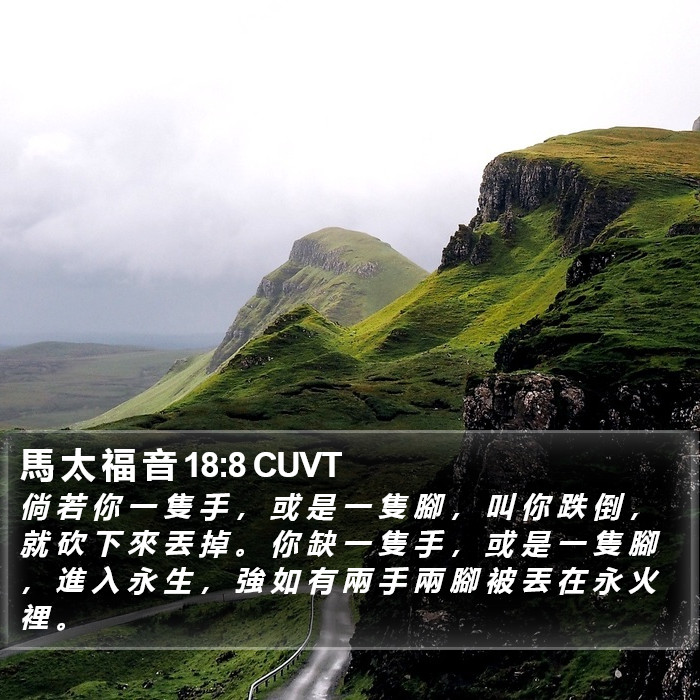 馬 太 福 音 18:8 CUVT Bible Study