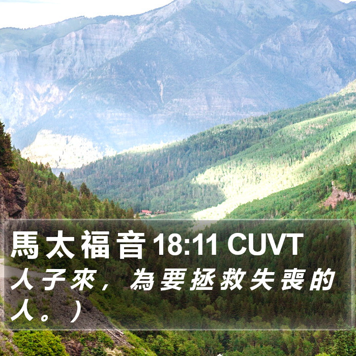 馬 太 福 音 18:11 CUVT Bible Study
