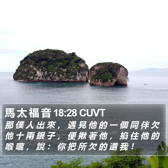馬 太 福 音 18:28 CUVT Bible Study