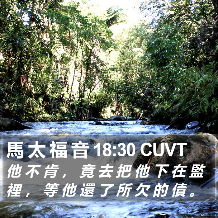 馬 太 福 音 18:30 CUVT Bible Study