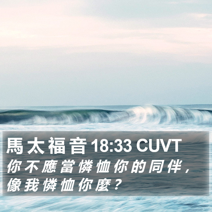 馬 太 福 音 18:33 CUVT Bible Study