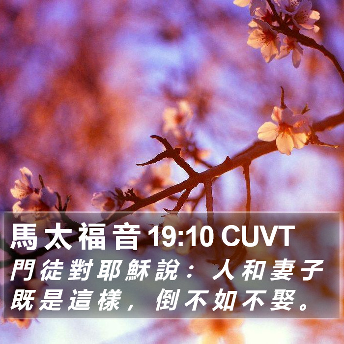 馬 太 福 音 19:10 CUVT Bible Study