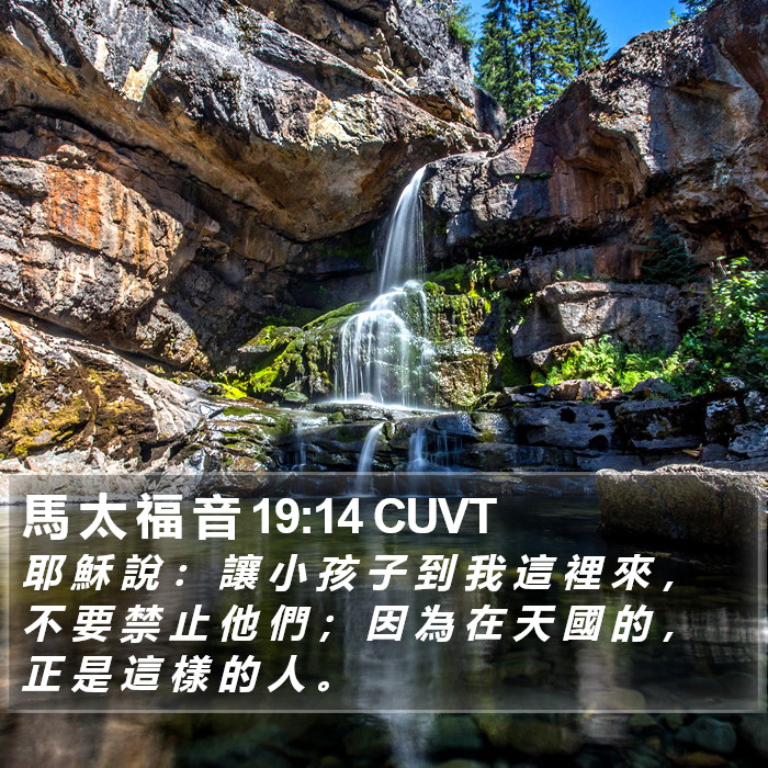 馬 太 福 音 19:14 CUVT Bible Study