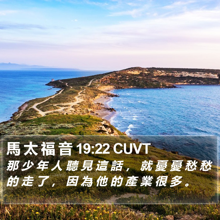 馬 太 福 音 19:22 CUVT Bible Study