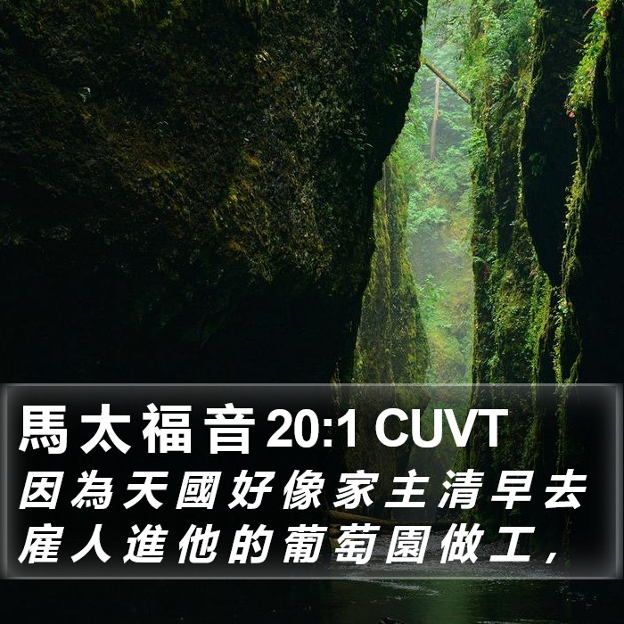 馬 太 福 音 20:1 CUVT Bible Study