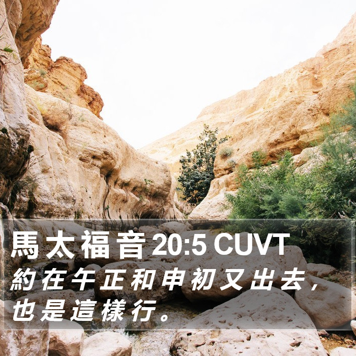 馬 太 福 音 20:5 CUVT Bible Study