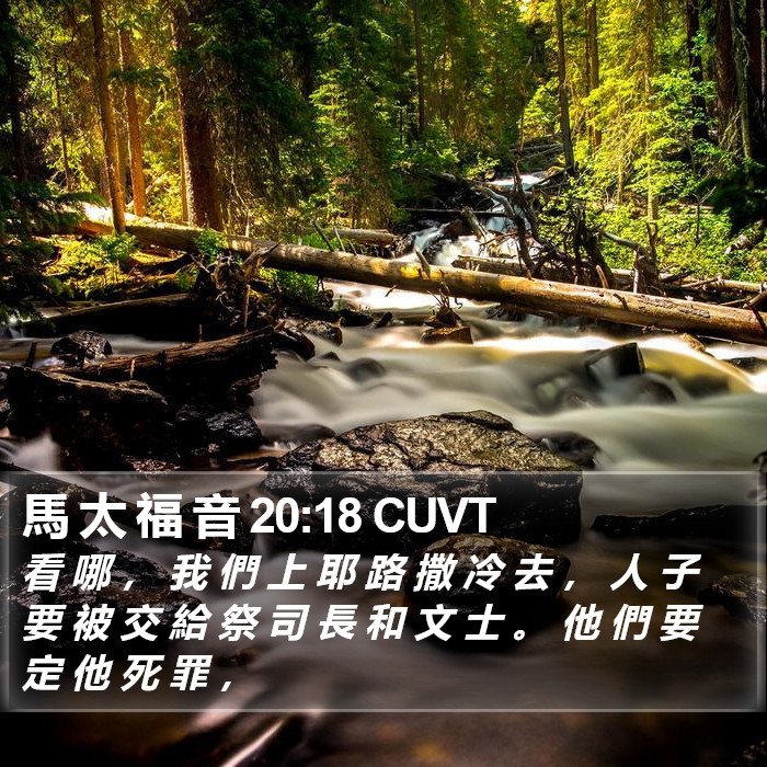 馬 太 福 音 20:18 CUVT Bible Study