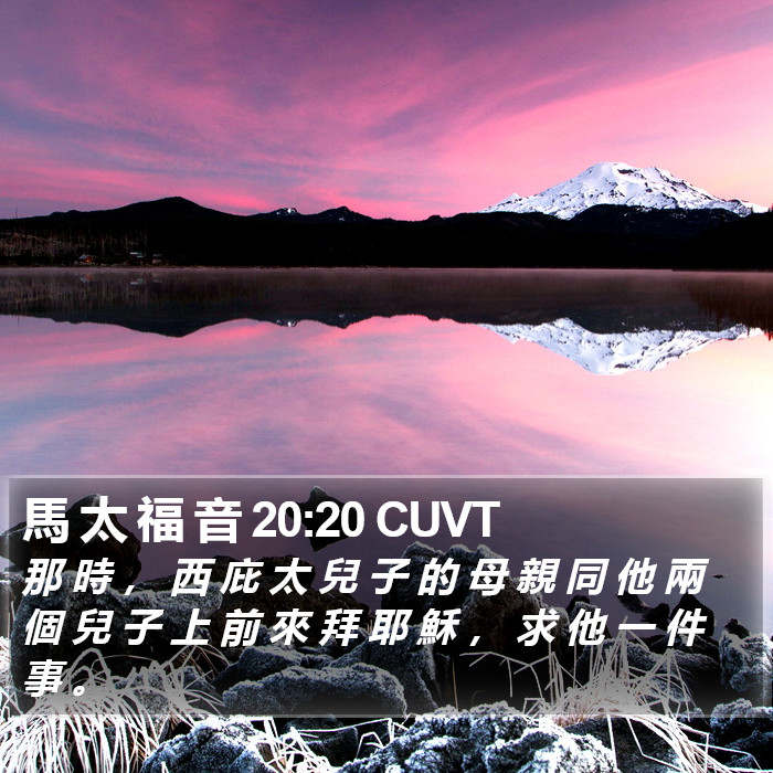 馬 太 福 音 20:20 CUVT Bible Study
