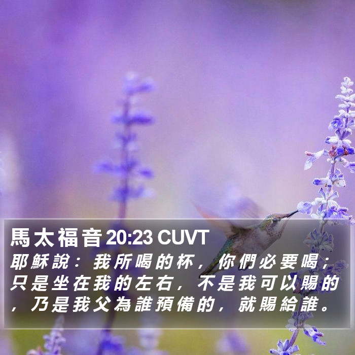 馬 太 福 音 20:23 CUVT Bible Study