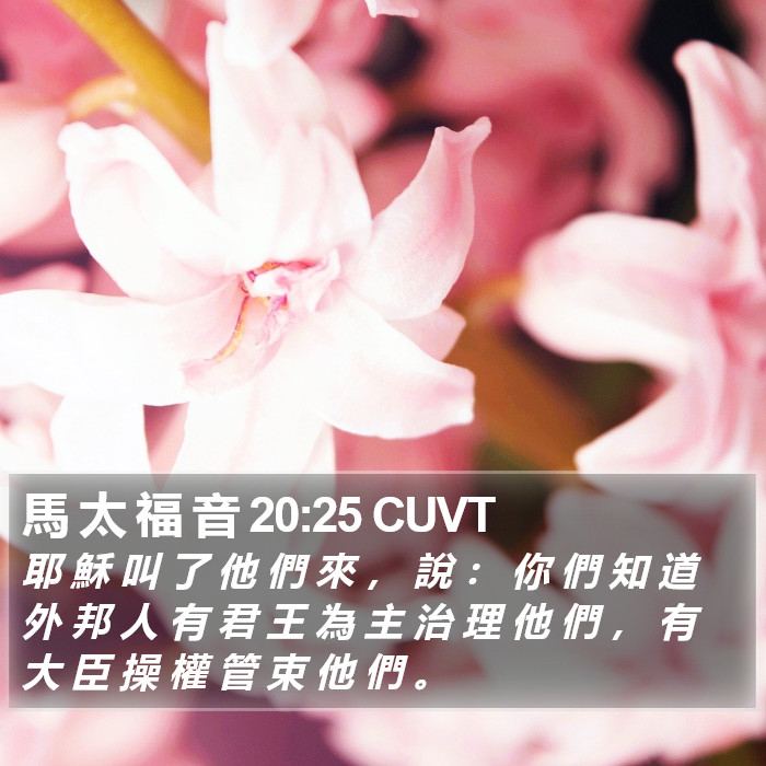馬 太 福 音 20:25 CUVT Bible Study