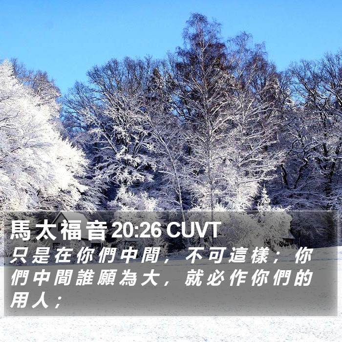 馬 太 福 音 20:26 CUVT Bible Study