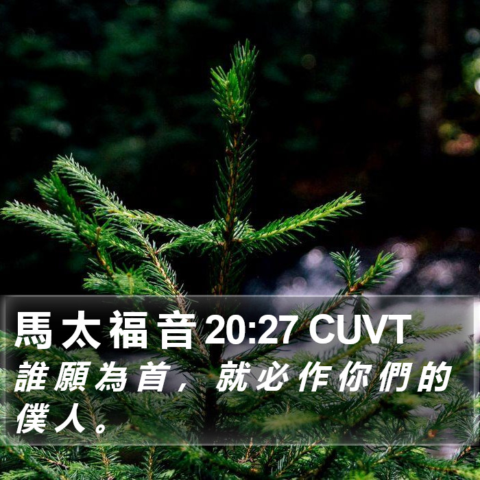 馬 太 福 音 20:27 CUVT Bible Study