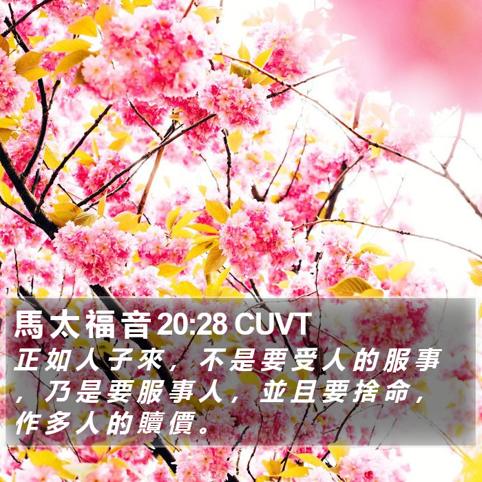 馬 太 福 音 20:28 CUVT Bible Study