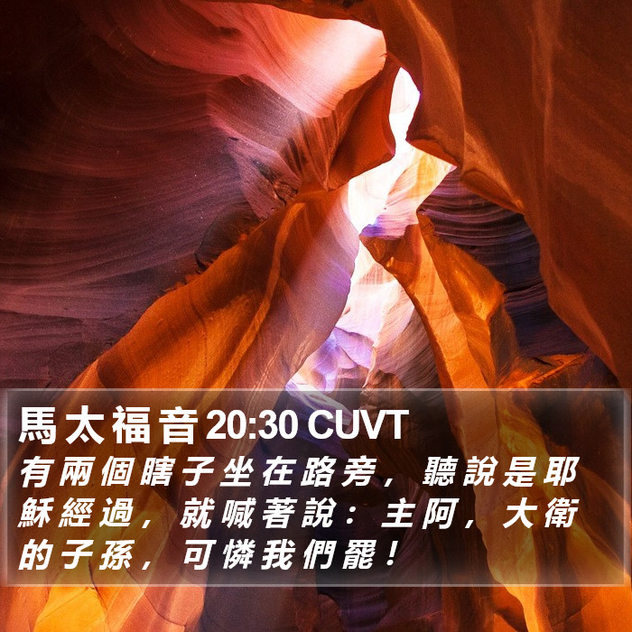 馬 太 福 音 20:30 CUVT Bible Study
