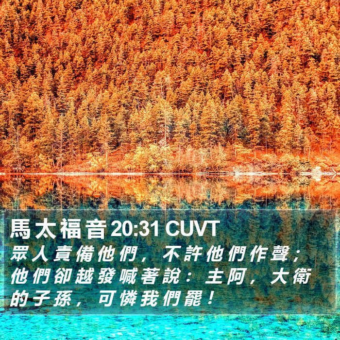 馬 太 福 音 20:31 CUVT Bible Study