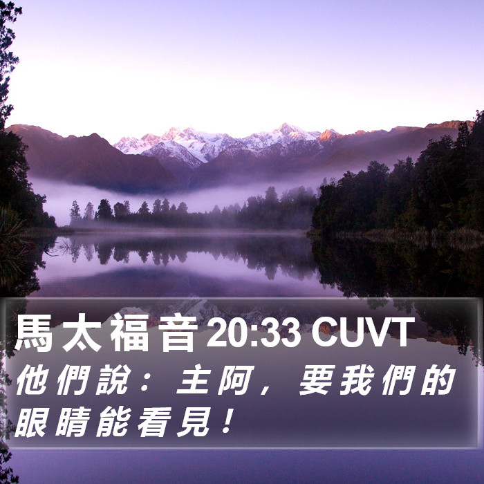 馬 太 福 音 20:33 CUVT Bible Study