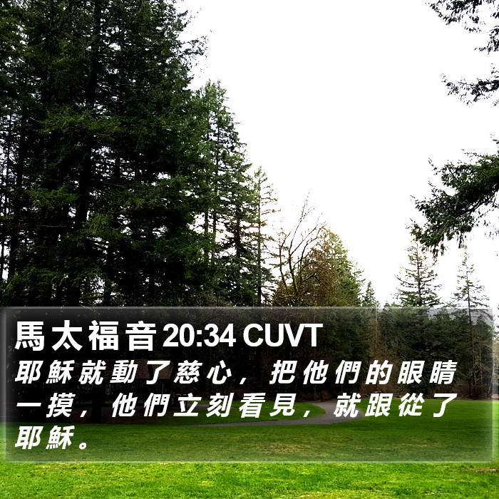 馬 太 福 音 20:34 CUVT Bible Study