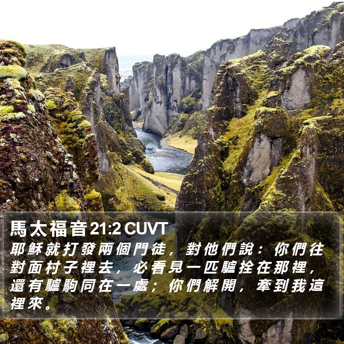 馬 太 福 音 21:2 CUVT Bible Study