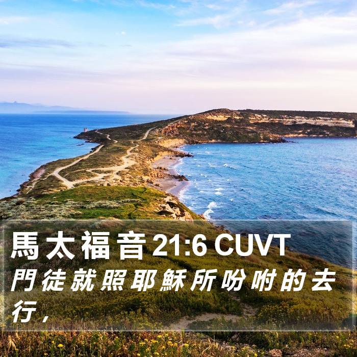 馬 太 福 音 21:6 CUVT Bible Study