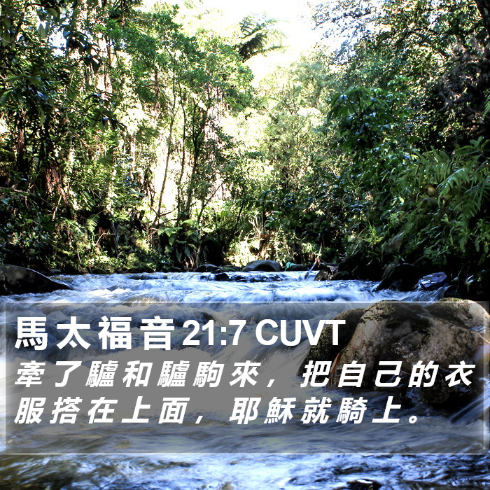 馬 太 福 音 21:7 CUVT Bible Study