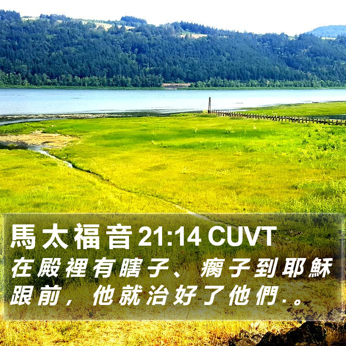 馬 太 福 音 21:14 CUVT Bible Study