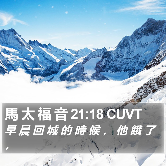 馬 太 福 音 21:18 CUVT Bible Study