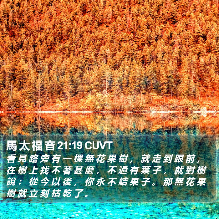 馬 太 福 音 21:19 CUVT Bible Study