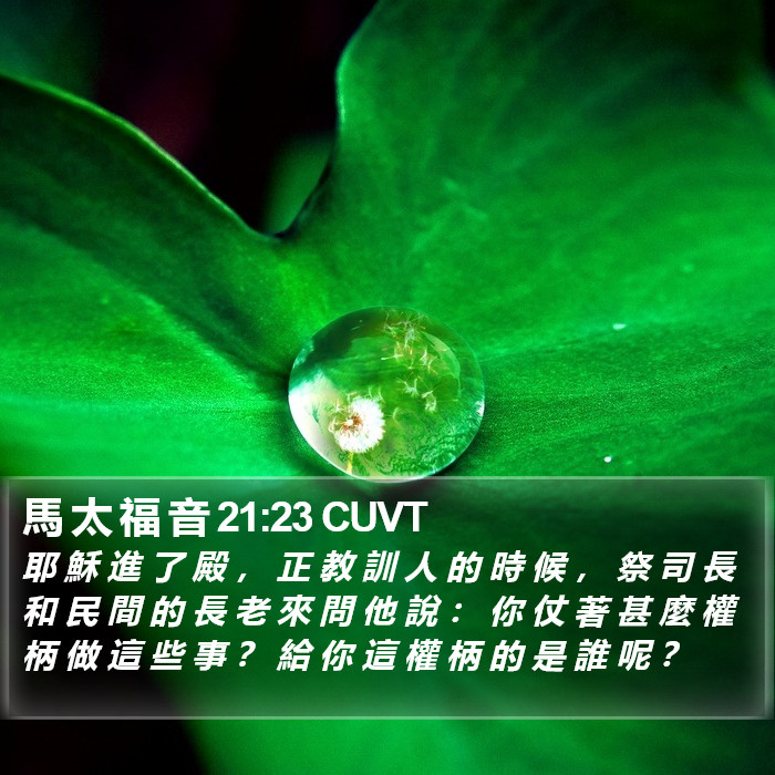 馬 太 福 音 21:23 CUVT Bible Study
