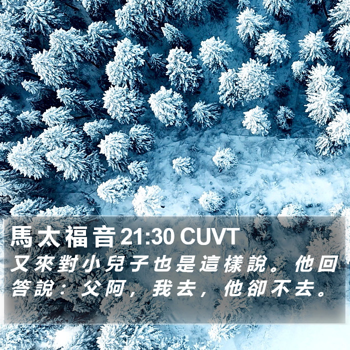 馬 太 福 音 21:30 CUVT Bible Study