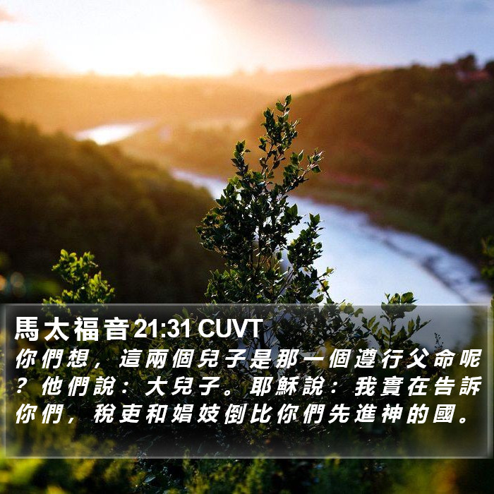 馬 太 福 音 21:31 CUVT Bible Study