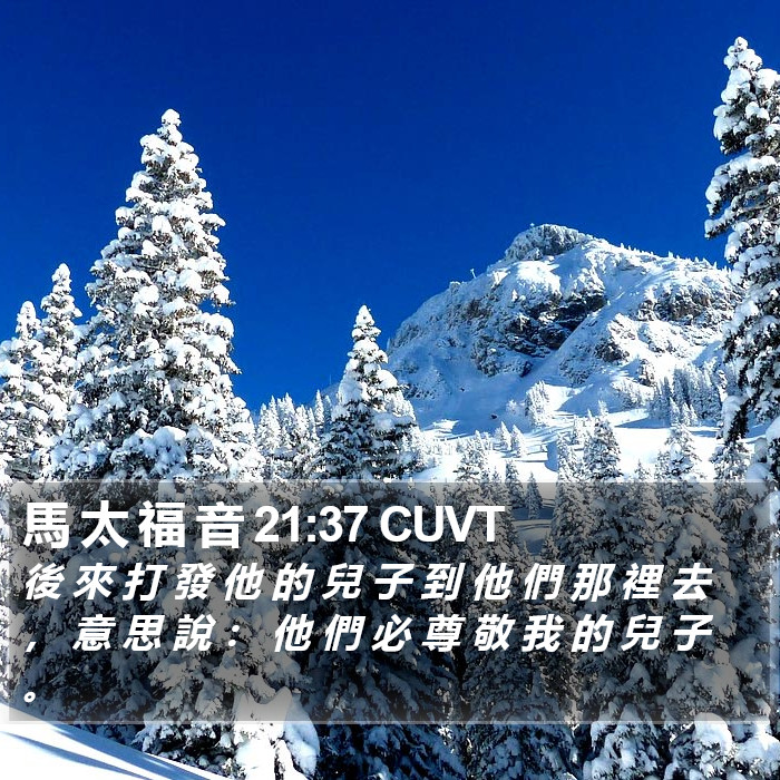 馬 太 福 音 21:37 CUVT Bible Study