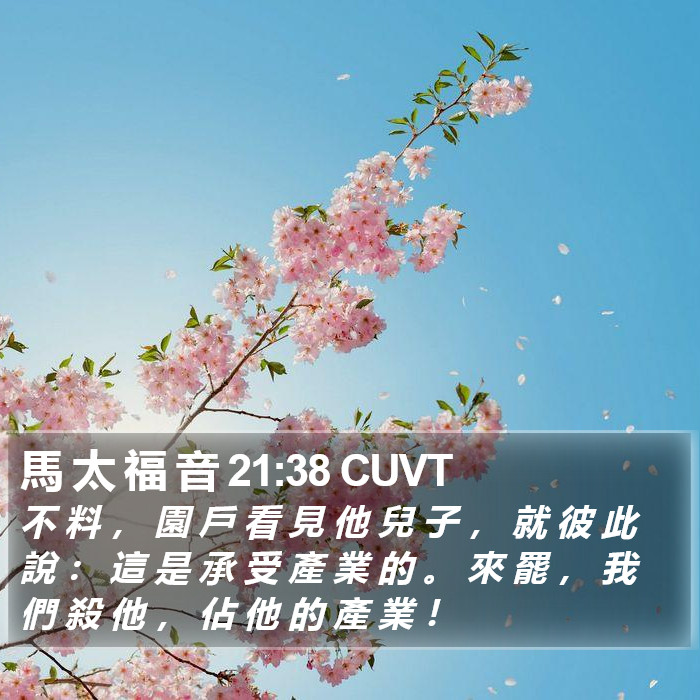 馬 太 福 音 21:38 CUVT Bible Study