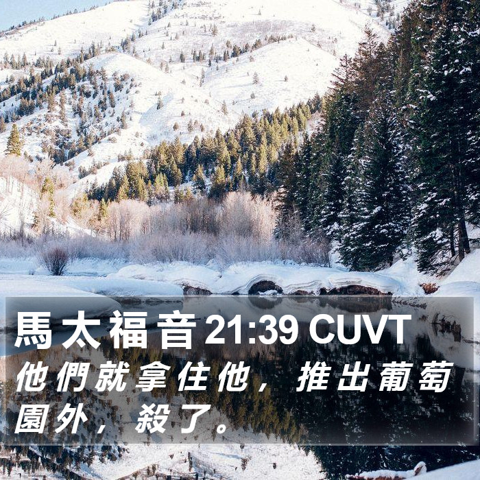 馬 太 福 音 21:39 CUVT Bible Study