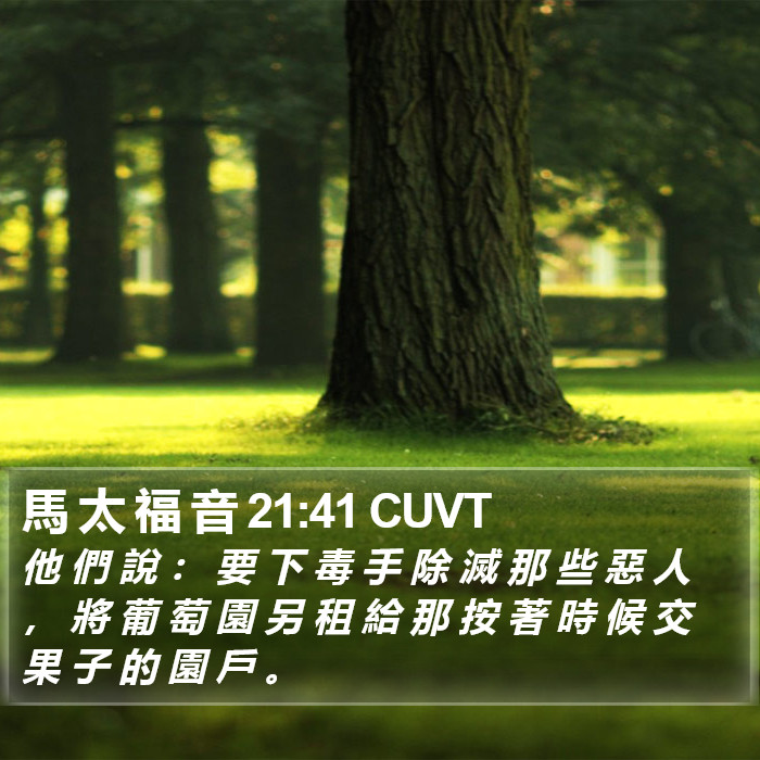馬 太 福 音 21:41 CUVT Bible Study