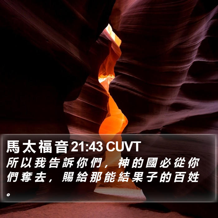 馬 太 福 音 21:43 CUVT Bible Study