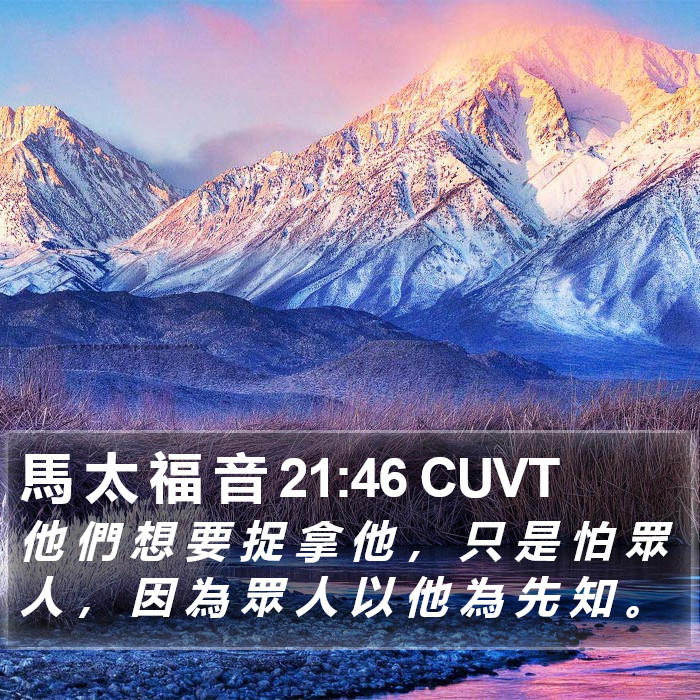 馬 太 福 音 21:46 CUVT Bible Study