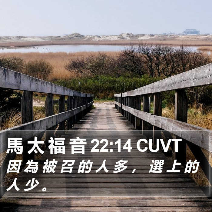 馬 太 福 音 22:14 CUVT Bible Study